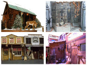 Decor en decoratie - Huren.nl - 1