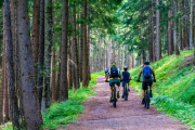 Elektrische mountainbike - Huren.nl - 2