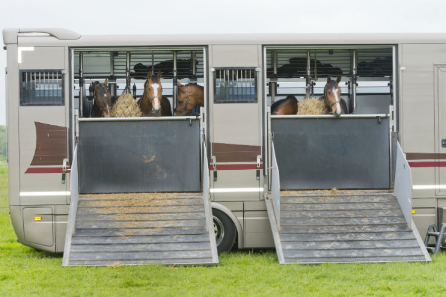 Paardenwagen - Huren.nl - 2