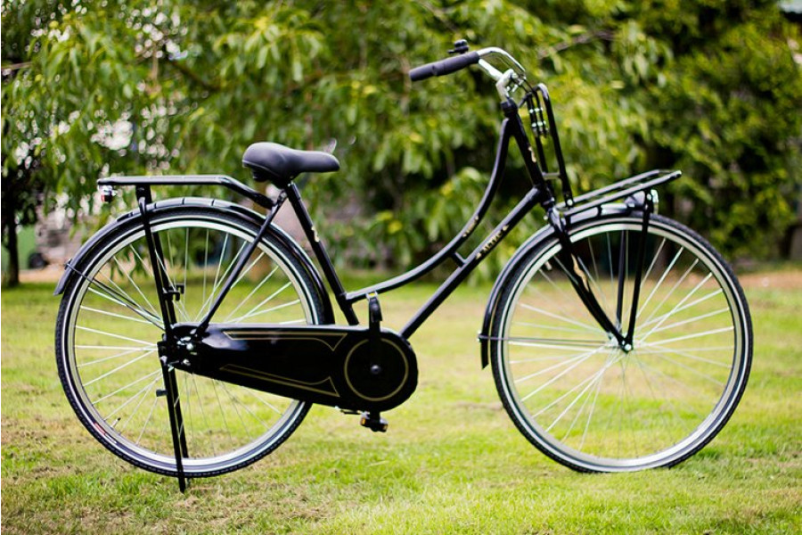 Heren- en damesfiets - Fietsverhuur Den Haag - 1