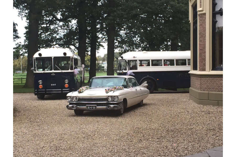 Oldtimer bus - P. Verbeek - 3