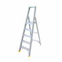 Trapladder