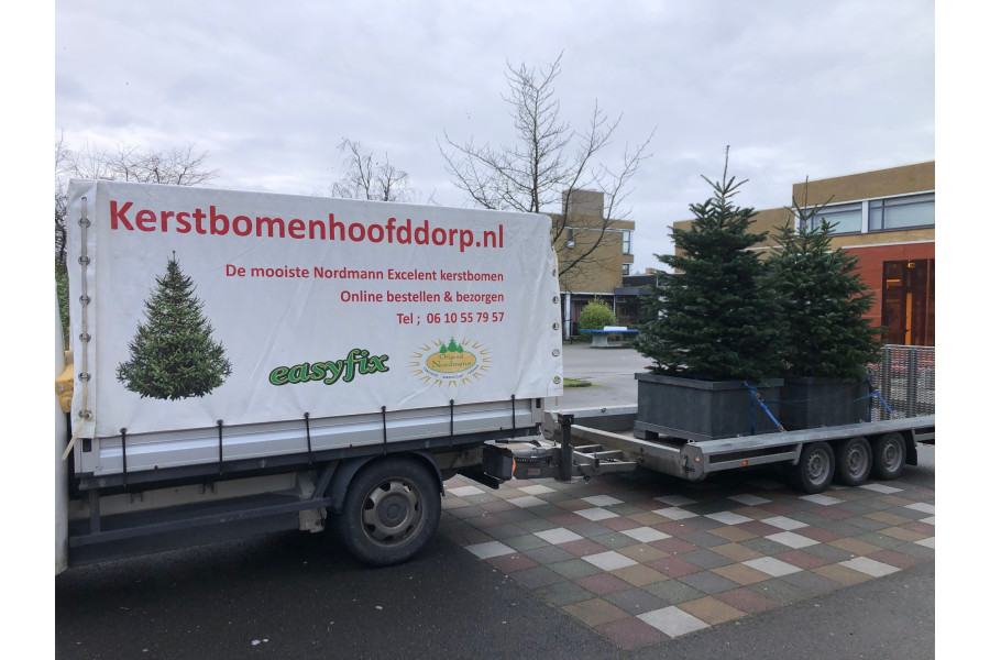 Kerstboom van 2 - 10 meter met / zonder verliching - Kupo Verhuur - 3