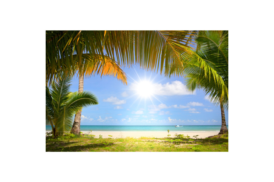 Decordoek 'Tropical beach' - Tropicalverhuur - 1