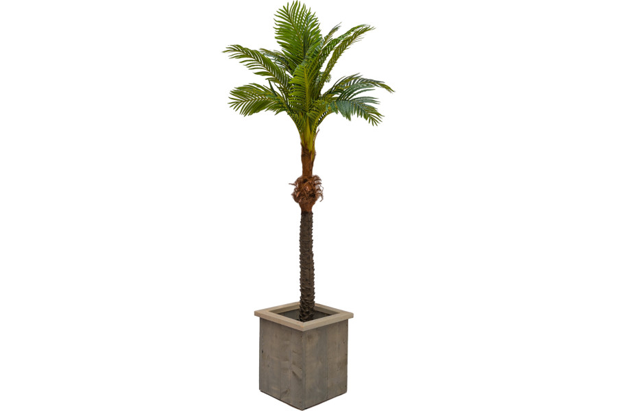 Kunst Palmboom 235cm - Tropicalverhuur - 2