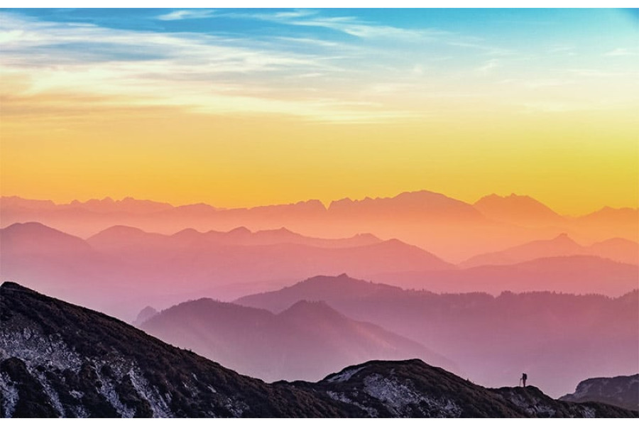 Alpaca - iremverhuur test - 5